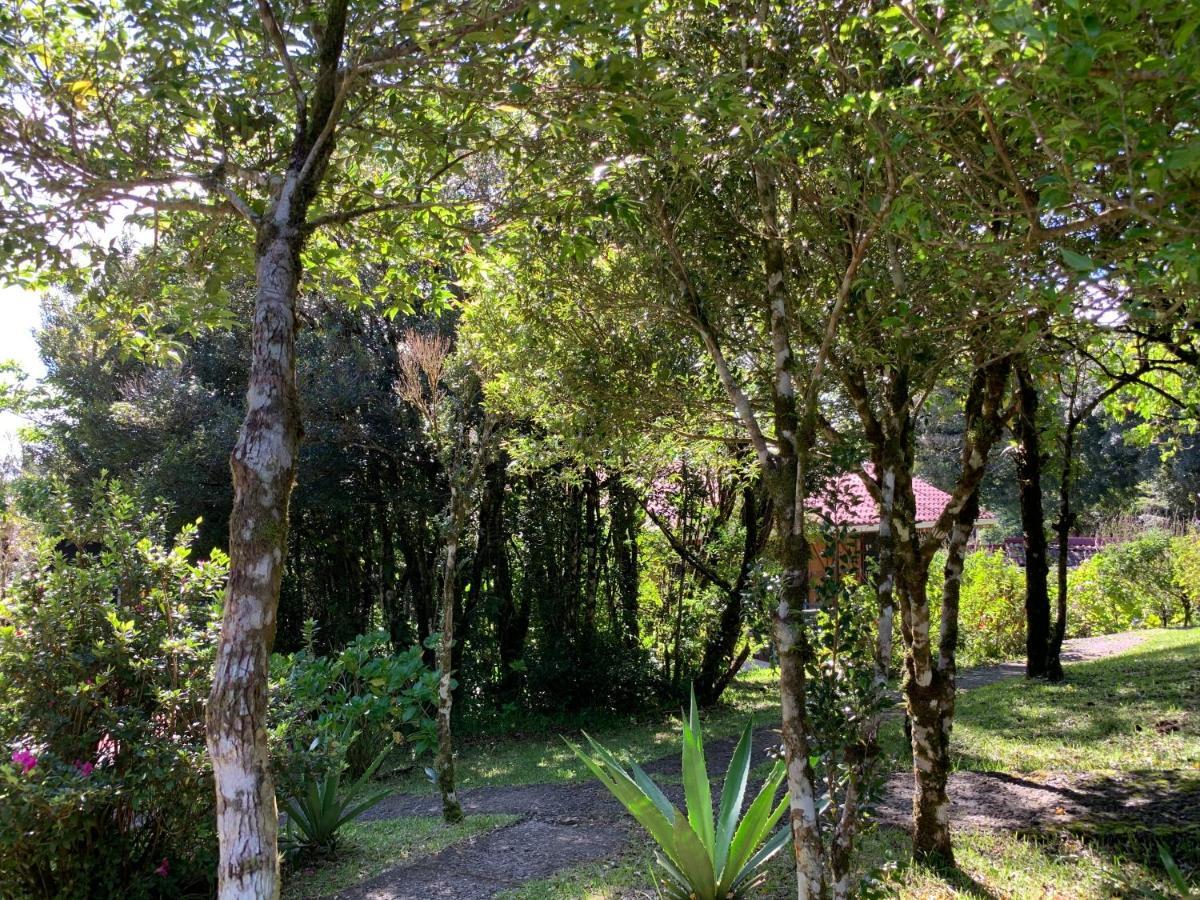 Rancho Makena Bed and Breakfast Monteverde Buitenkant foto